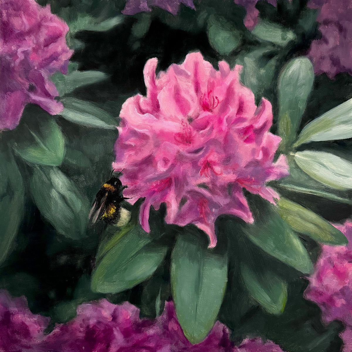 "Rhododendron" fine art print