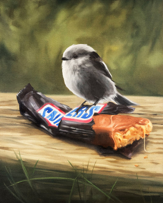 "Snickers" fine art print